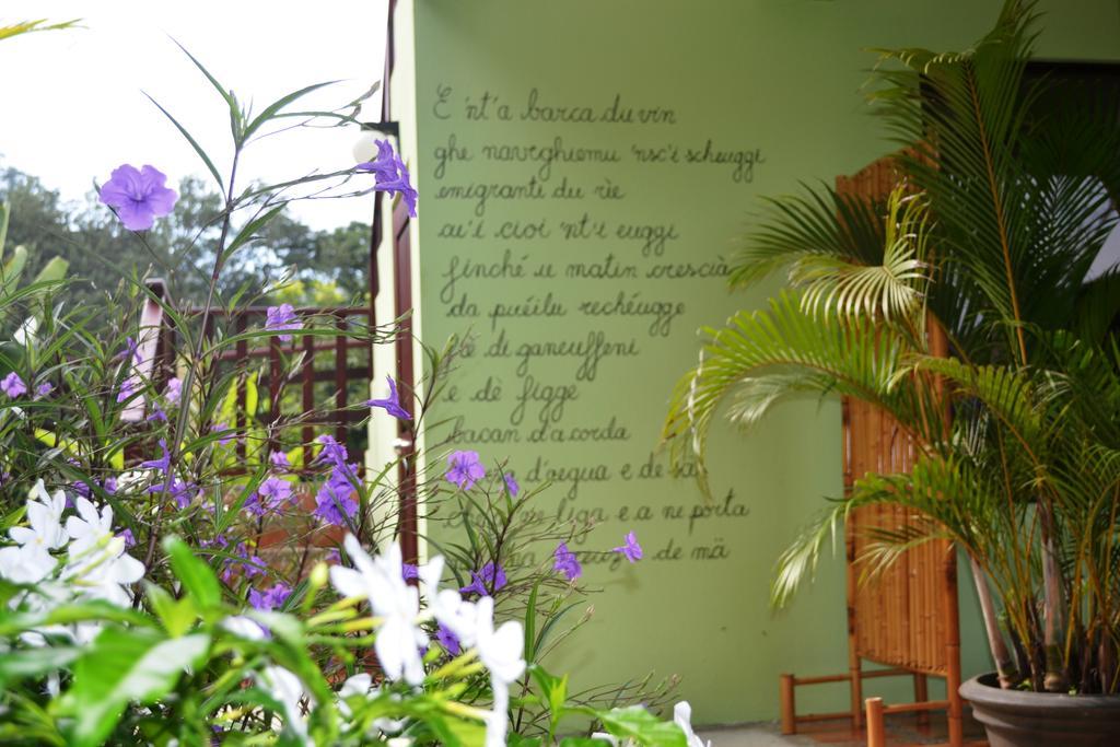 Mavi Surf Hotel 多米尼克 外观 照片