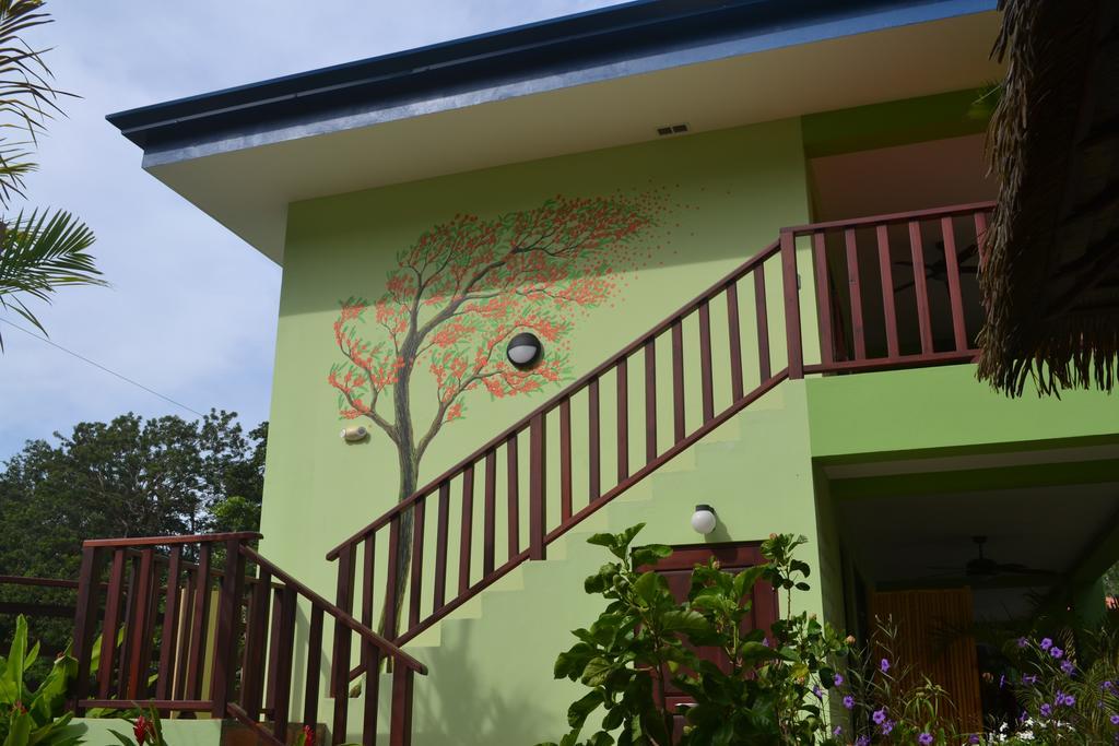 Mavi Surf Hotel 多米尼克 外观 照片